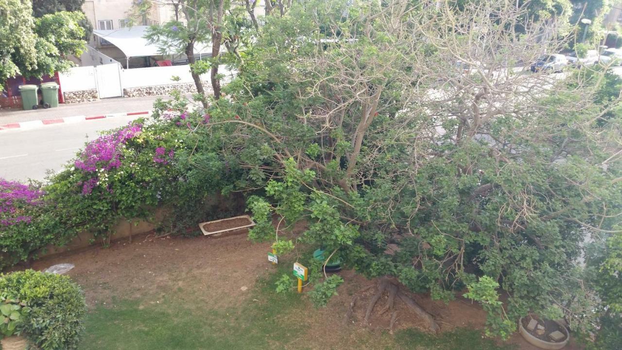 Herzliya Center Apartments Экстерьер фото